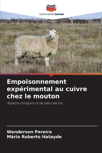 Empoisonnement exp�rimental au cuivre chez le mouton