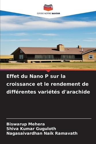 Effet du Nano P sur la croissance et le rendement de différentes variétés d'arachide