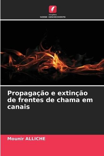 Propagação e extinção de frentes de chama em canais