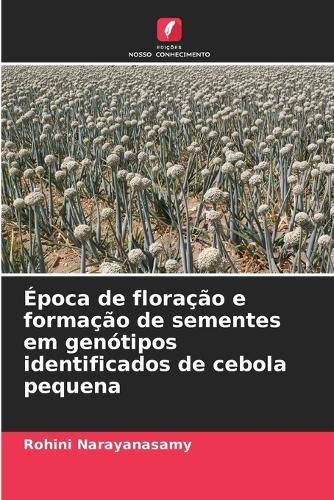 Época de floração e formação de sementes em genótipos identificados de cebola pequena