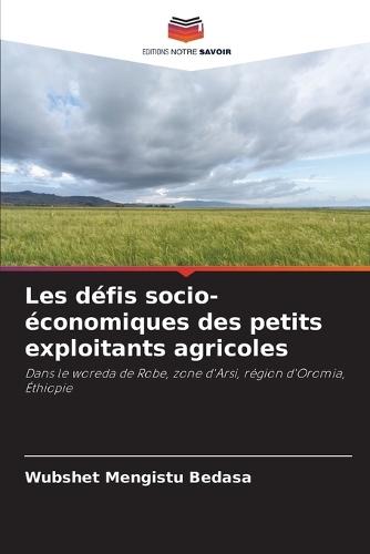 Les défis socio-économiques des petits exploitants agricoles