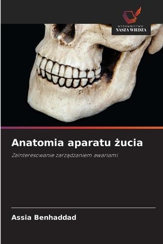Anatomia aparatu żucia