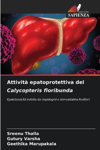 Attività epatoprotettiva del Calycopteris floribunda