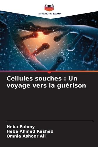 Cellules souches: Un voyage vers la guérison