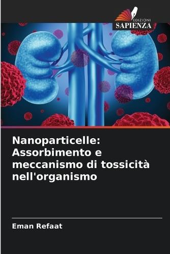 Nanoparticelle: Assorbimento e meccanismo di tossicità nell'organismo