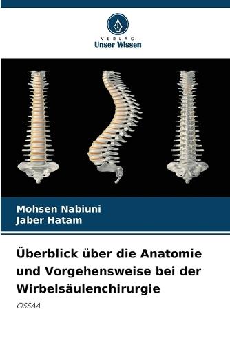 Überblick über die Anatomie und Vorgehensweise bei der Wirbelsäulenchirurgie