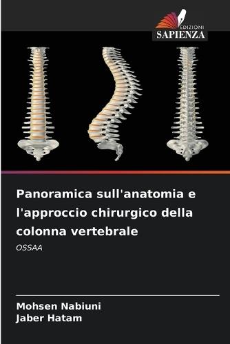 Panoramica sull'anatomia e l'approccio chirurgico della colonna vertebrale