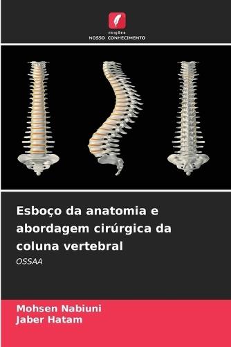 Esboço da anatomia e abordagem cirúrgica da coluna vertebral
