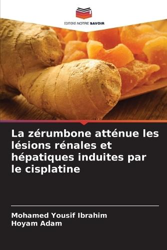 La zérumbone atténue les lésions rénales et hépatiques induites par le cisplatine