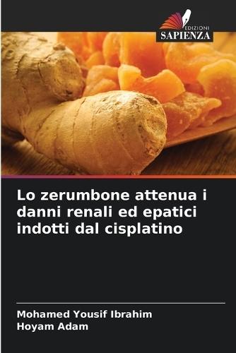 Lo zerumbone attenua i danni renali ed epatici indotti dal cisplatino
