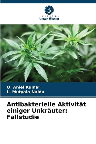 Antibakterielle Aktivität einiger Unkräuter: Fallstudie