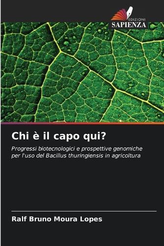 Chi è il capo qui?