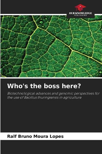 Who's the boss here?