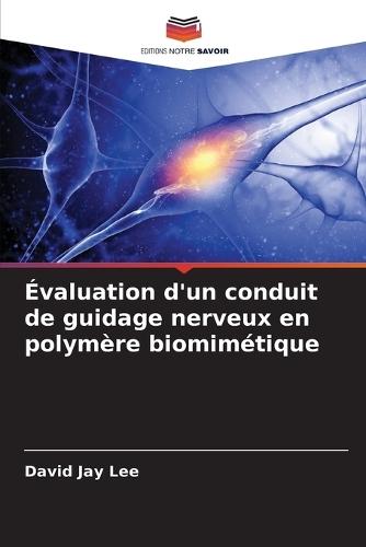 Évaluation d'un conduit de guidage nerveux en polymère biomimétique