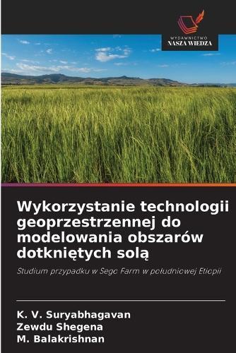 Wykorzystanie technologii geoprzestrzennej do modelowania obszarów dotkniętych solą