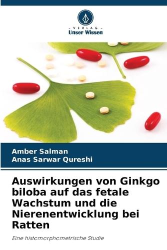 Auswirkungen von Ginkgo biloba auf das fetale Wachstum und die Nierenentwicklung bei Ratten