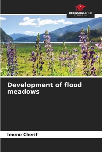 Development of flood meadows