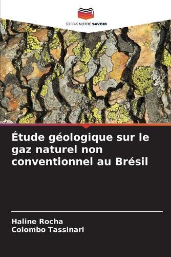 Étude géologique sur le gaz naturel non conventionnel au Brésil