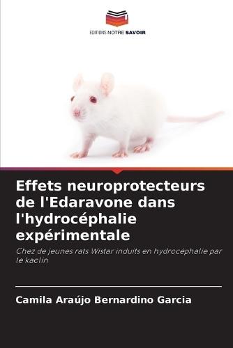 Effets neuroprotecteurs de l'Edaravone dans l'hydrocéphalie expérimentale