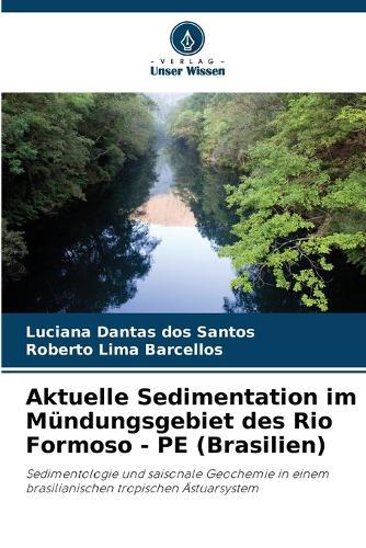 Aktuelle Sedimentation im Mündungsgebiet des Rio Formoso - PE (Brasilien)