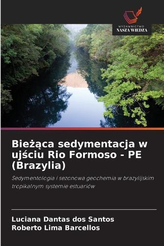 Bieżąca sedymentacja w ujściu Rio Formoso - PE (Brazylia)
