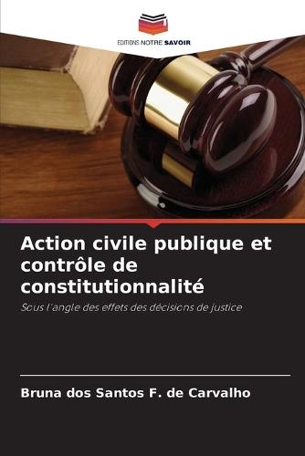 Action civile publique et contrôle de constitutionnalité