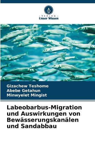 Labeobarbus-Migration und Auswirkungen von Bewässerungskanälen und Sandabbau