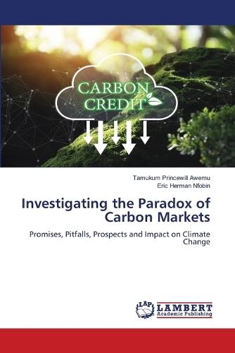 Investigating the Paradox of Carbon Markets