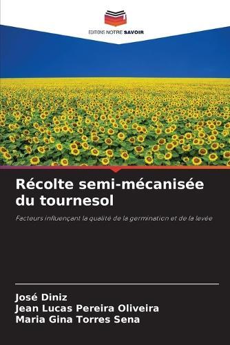 Récolte semi-mécanisée du tournesol