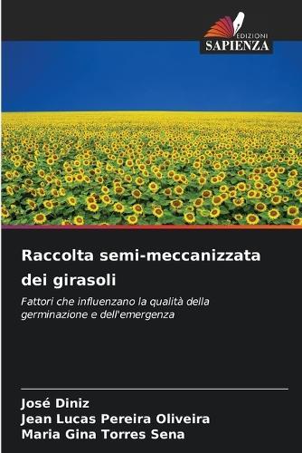 Raccolta semi-meccanizzata dei girasoli