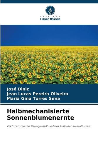 Halbmechanisierte Sonnenblumenernte