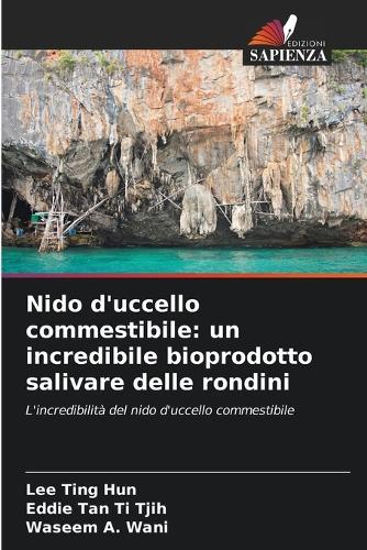 Nido d'uccello commestibile: un incredibile bioprodotto salivare delle rondini