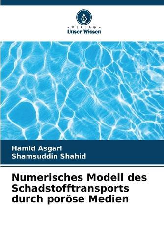 Numerisches Modell des Schadstofftransports durch poröse Medien