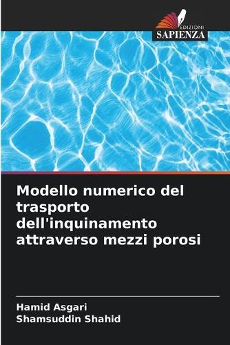 Modello numerico del trasporto dell'inquinamento attraverso mezzi porosi