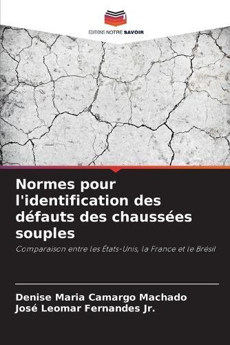 Normes pour l'identification des défauts des chaussées souples