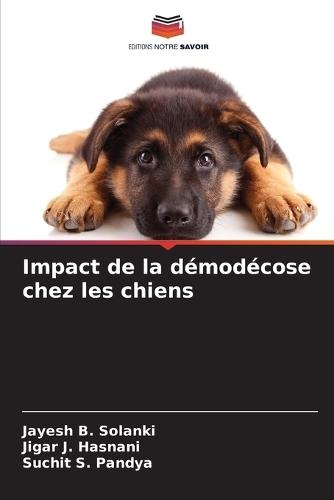 Impact de la démodécose chez les chiens
