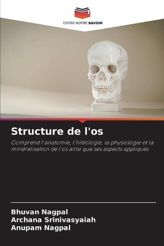 Structure de l'os