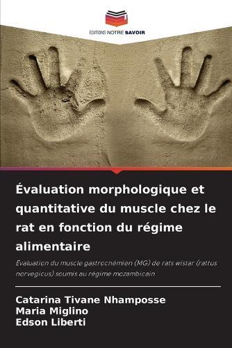 Évaluation morphologique et quantitative du muscle chez le rat en fonction du régime alimentaire