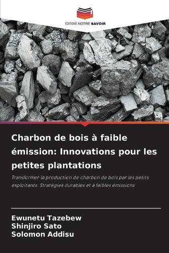 Charbon de bois à faible émission: Innovations pour les petites plantations