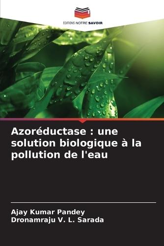 Azoréductase: une solution biologique à la pollution de l'eau