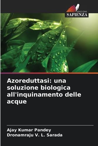 Azoreduttasi: una soluzione biologica all'inquinamento delle acque