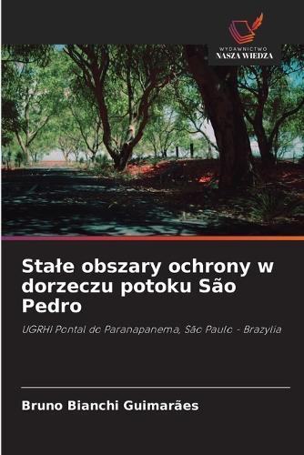Stale obszary ochrony w dorzeczu potoku São Pedro