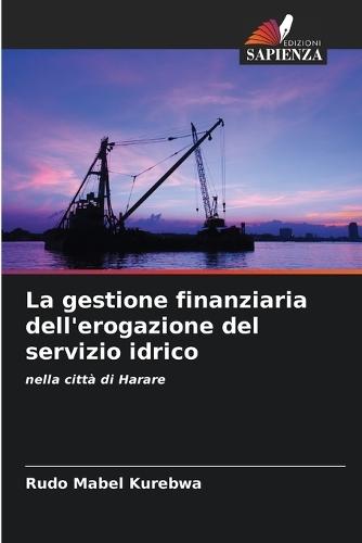 La gestione finanziaria dell'erogazione del servizio idrico