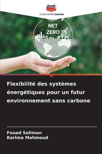 Flexibilité des systèmes énergétiques pour un futur environnement sans carbone