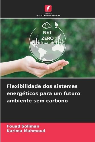 Flexibilidade dos sistemas energéticos para um futuro ambiente sem carbono