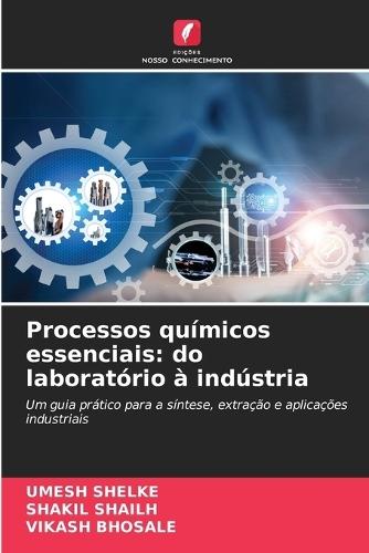 Processos químicos essenciais: do laboratório à indústria