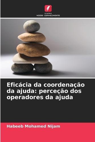 Eficácia da coordenação da ajuda: perceção dos operadores da ajuda