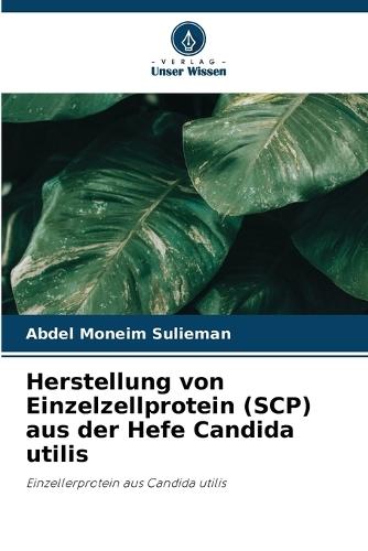 Herstellung von Einzelzellprotein (SCP) aus der Hefe Candida utilis