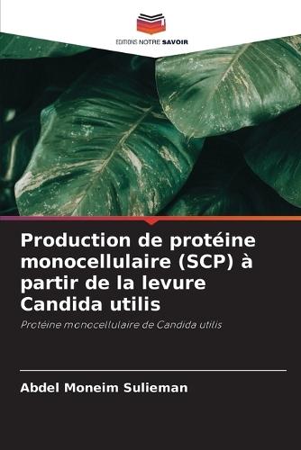 Production de protéine monocellulaire (SCP) à partir de la levure Candida utilis