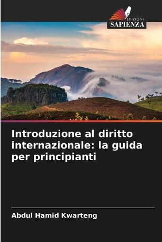 Introduzione al diritto internazionale: la guida per principianti